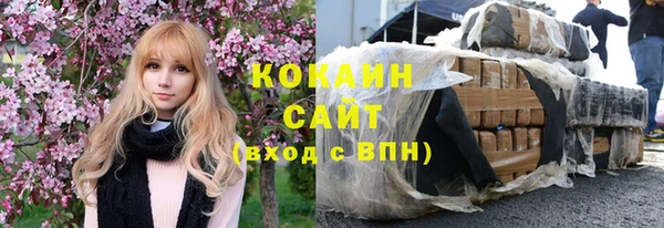 ешки Алексин