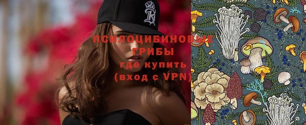 прущие грибы Абдулино