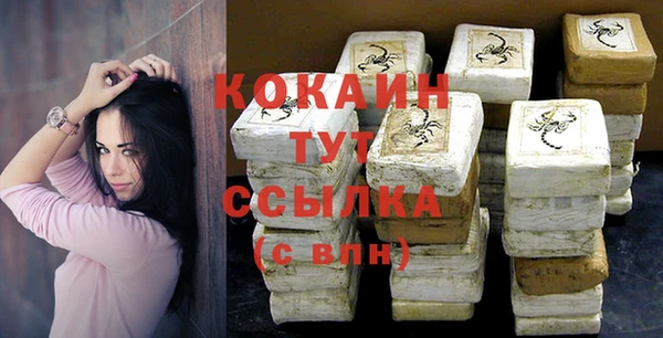ешки Алексин